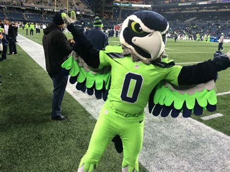 Seahawks mascot blitz